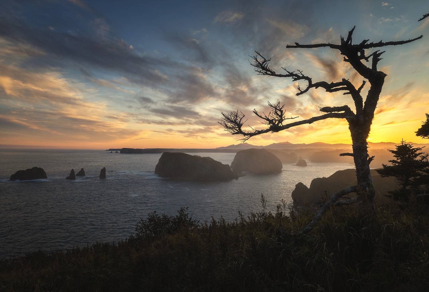 , Грамаков Юрий