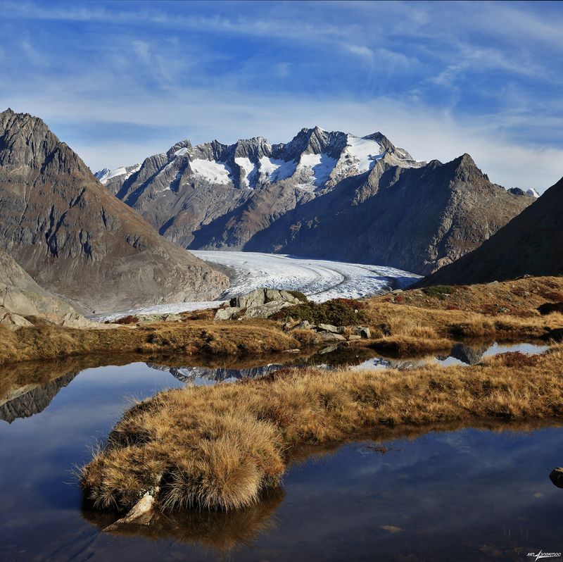 swiss Изгибы.. фото превью