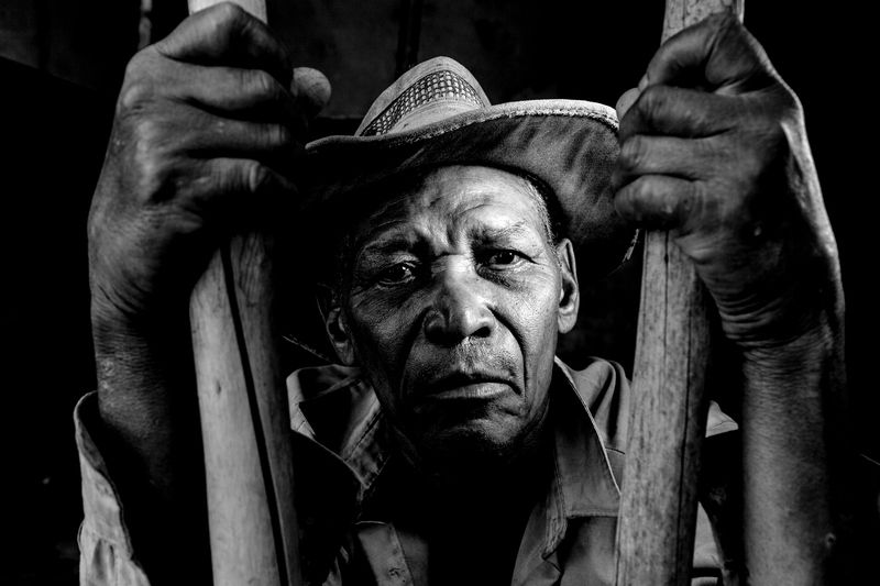 Strenght and Honour фото превью