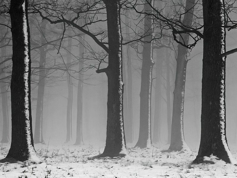 2007 фото превью