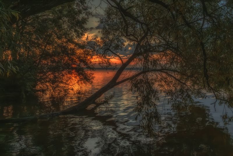 Московская область  фото превью