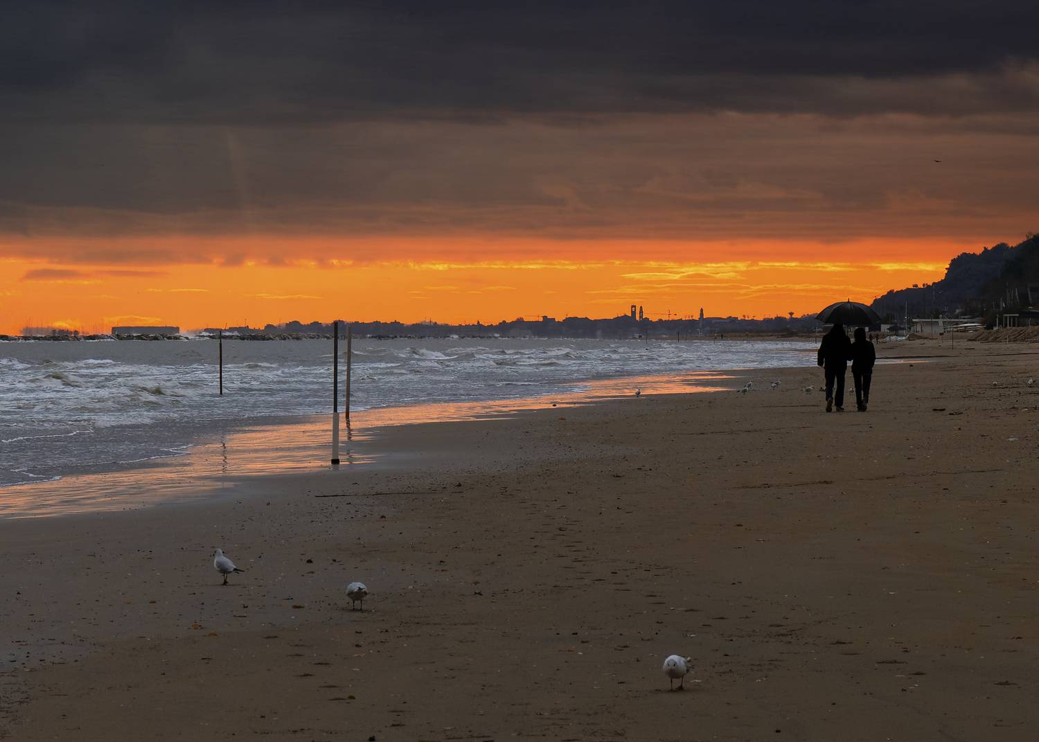 , Denis Cristian BURMELEAC