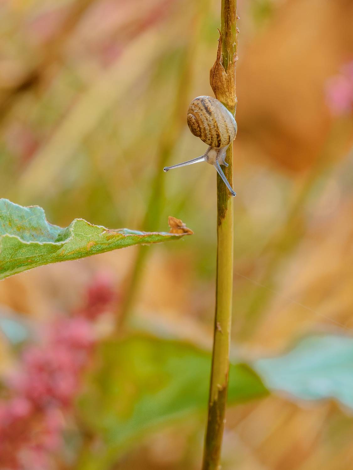 , Ирина Протченко