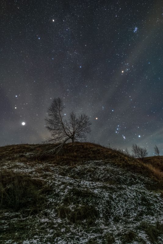 Берёза на холме фото превью