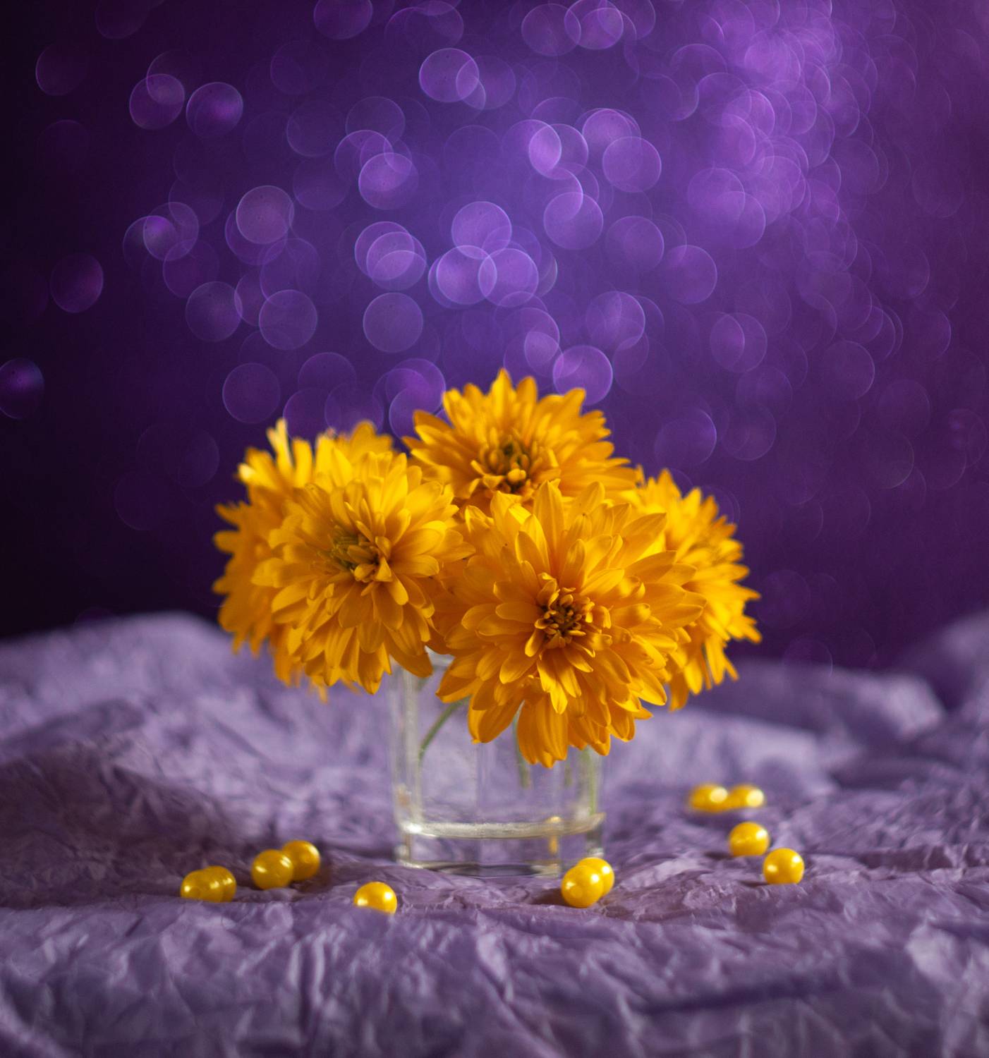 , Елена Павлюк