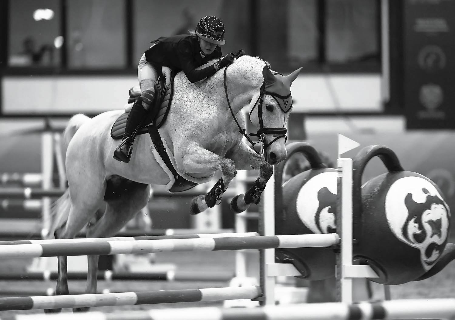 соревнования,конкур ,прыжок, спорт,horse, competition, jump, sport, Стукалова Юлия