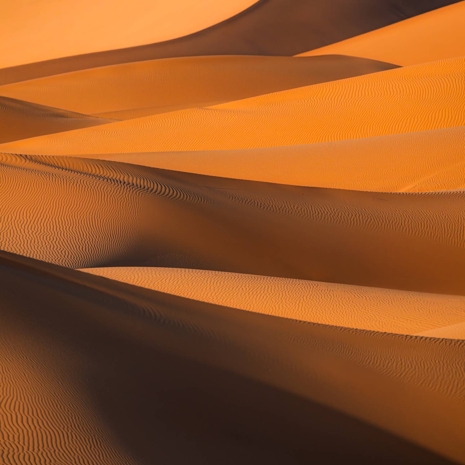 maroc, marocco, sahara desert, desert, sand, orange, light, марокко, пустыня, сахара, пейзаж, дюны, песок , Kaznov Stanislav