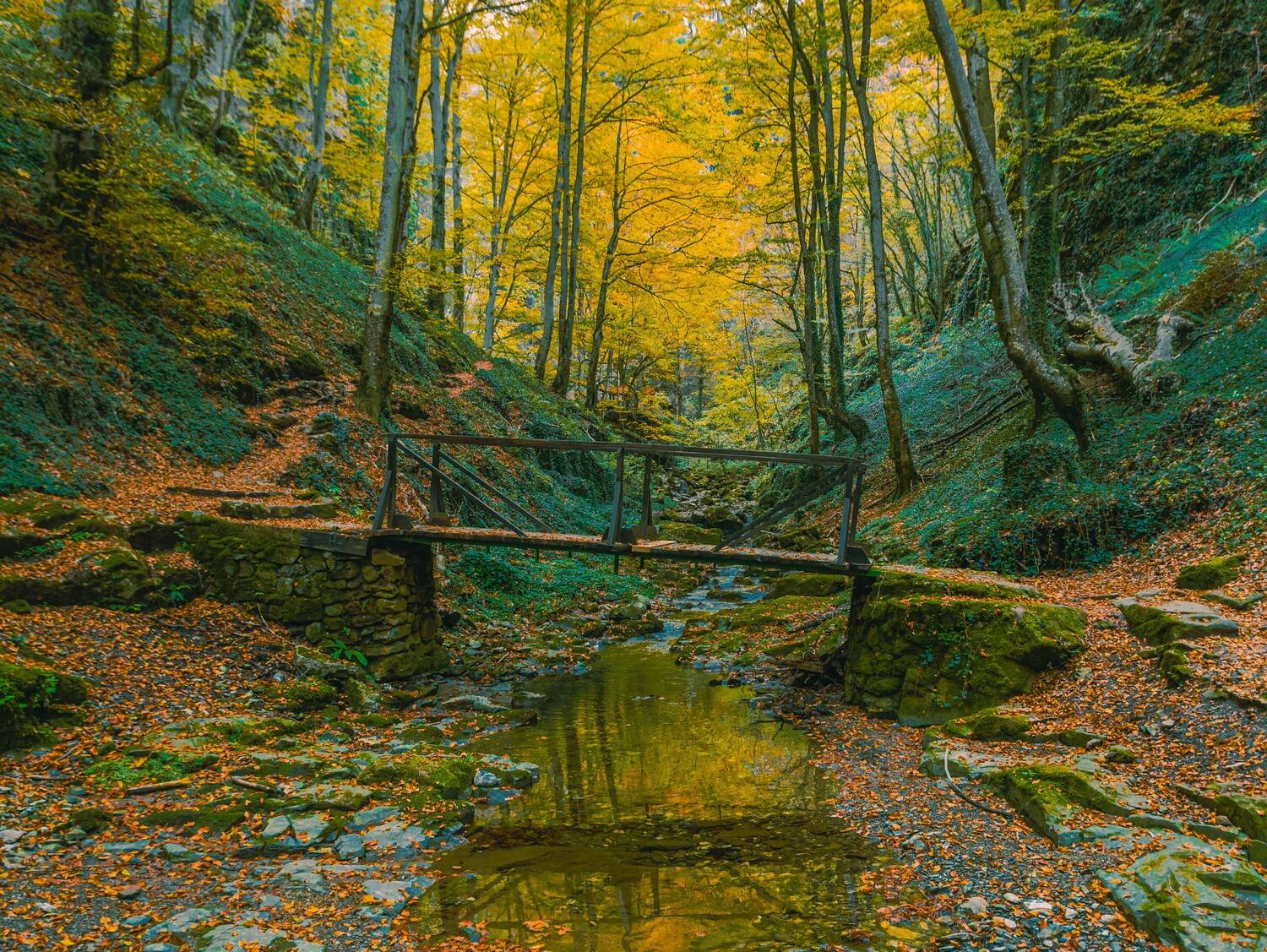 , Николов Андриян