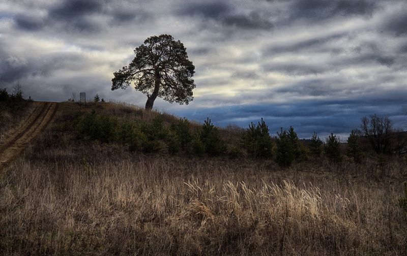 Снова осень фото превью