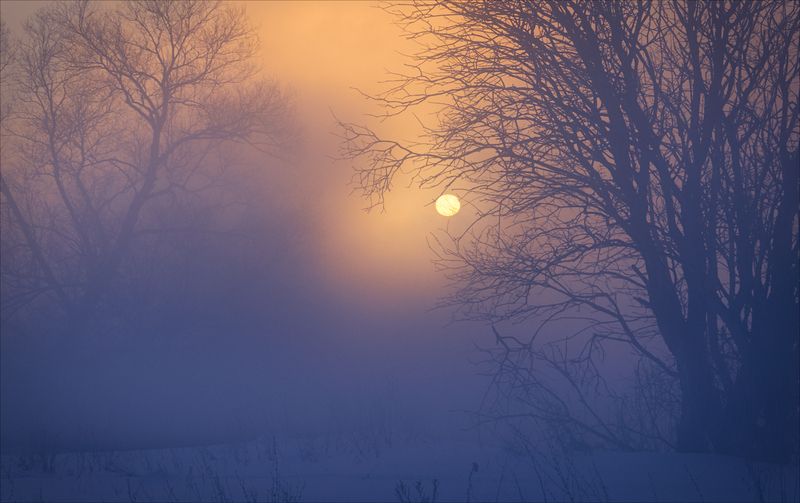 рассвет, мороз, туман, солнце *** фото превью