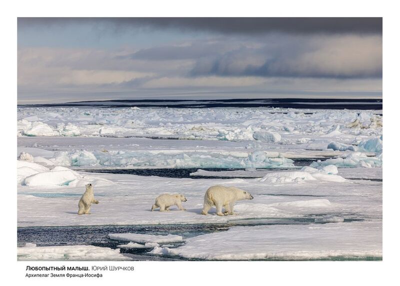 Любопытный малыш фото превью