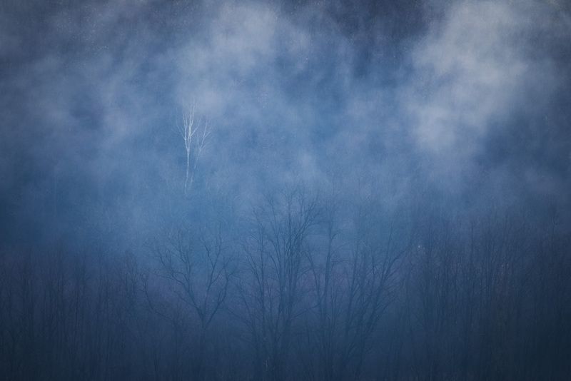 2025 фото превью