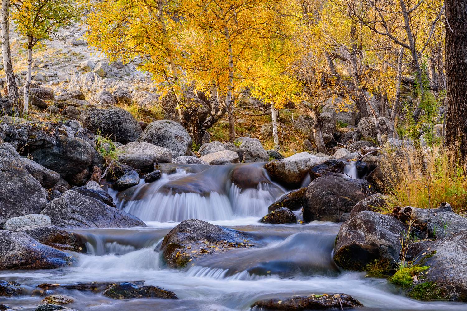алтай, долина реки чулышман, осень, Григорашев Денис