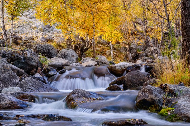 алтай, долина реки чулышман, осень Воспоминания об осени фото превью