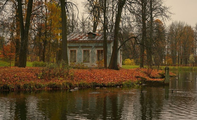 The house on the island фото превью