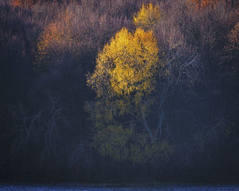 2020 фото превью