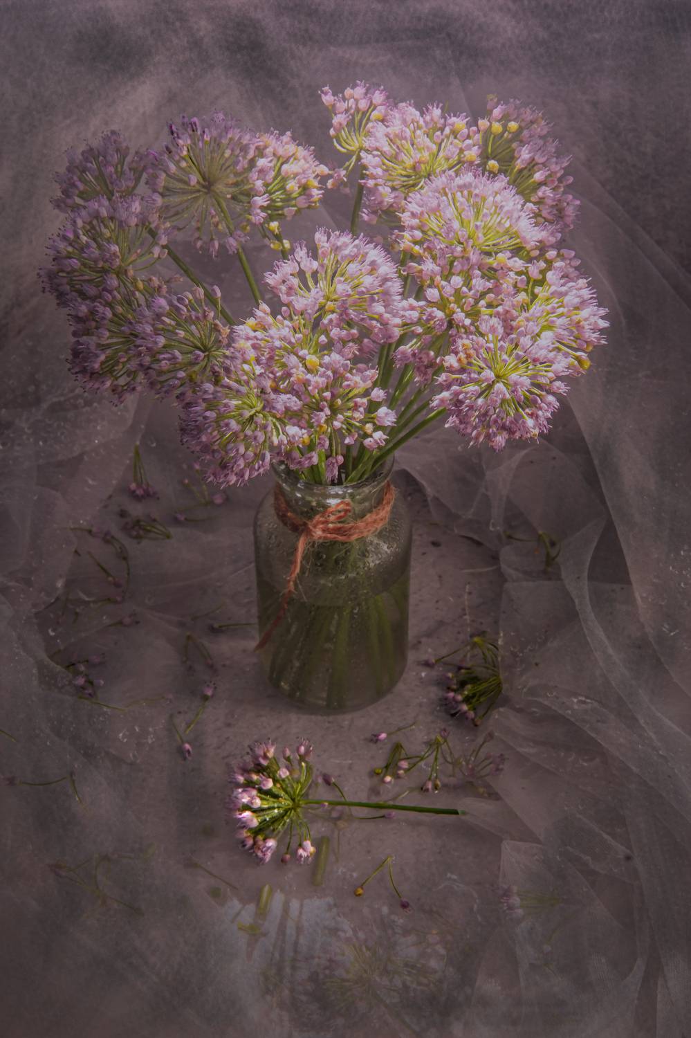 , Клименкова Ольга