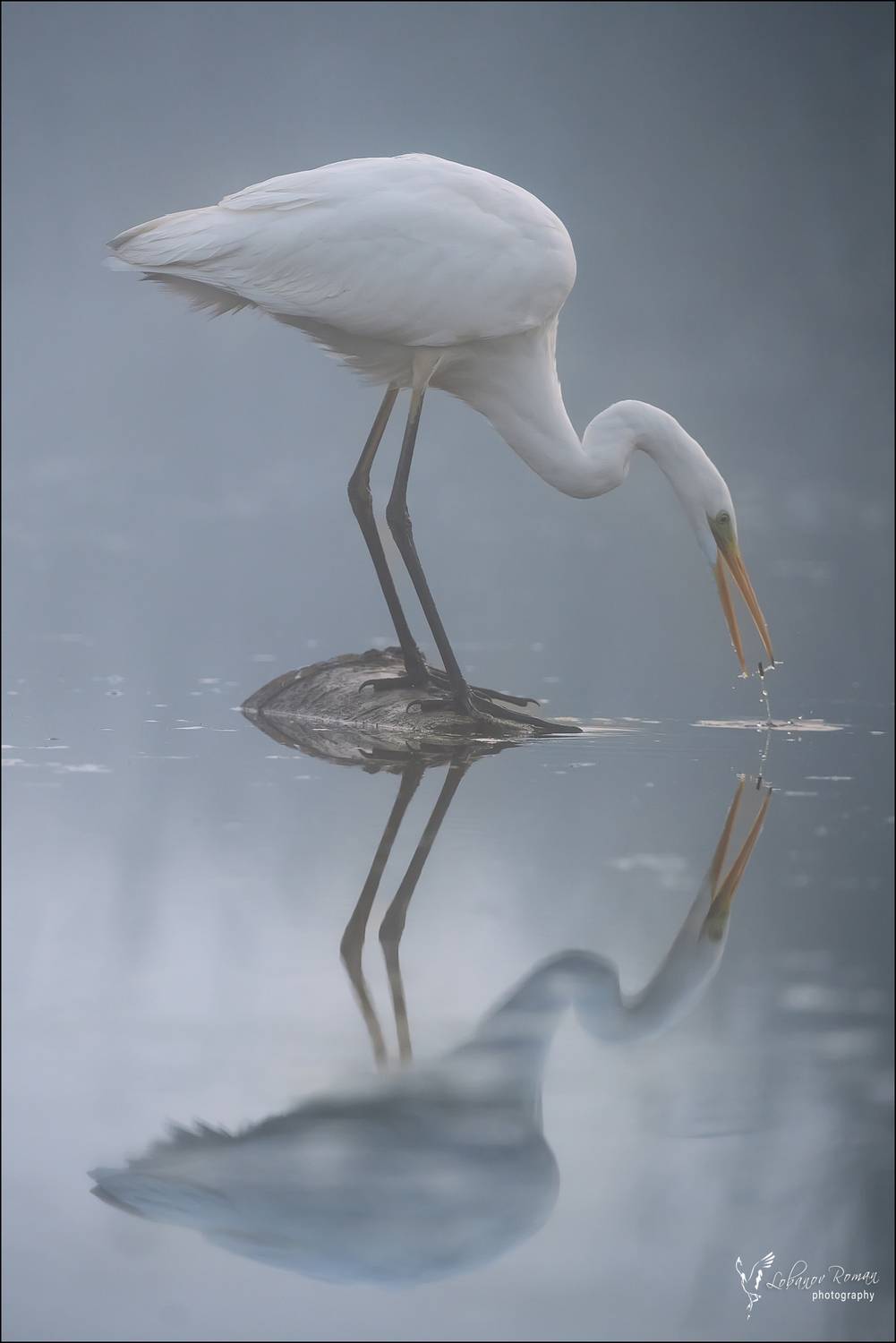 , Лобанов Роман