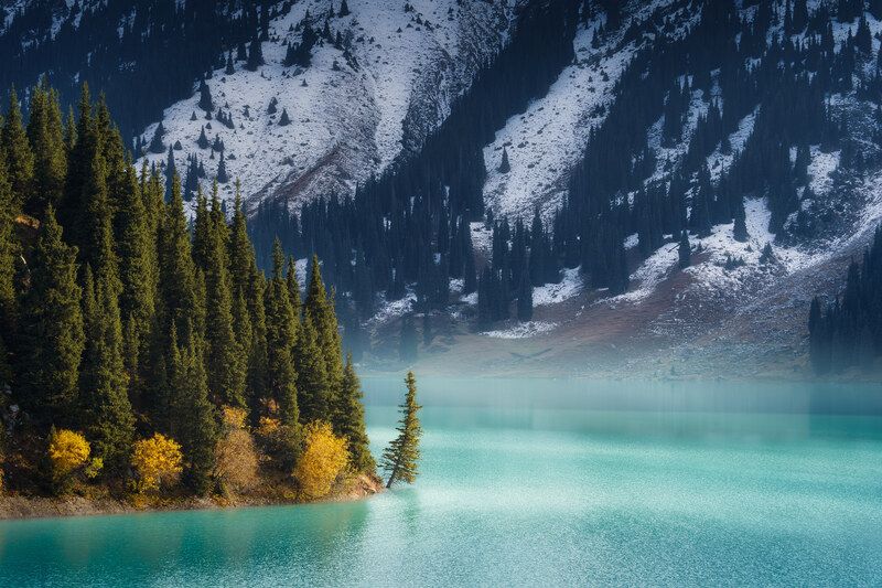 БАО фото превью