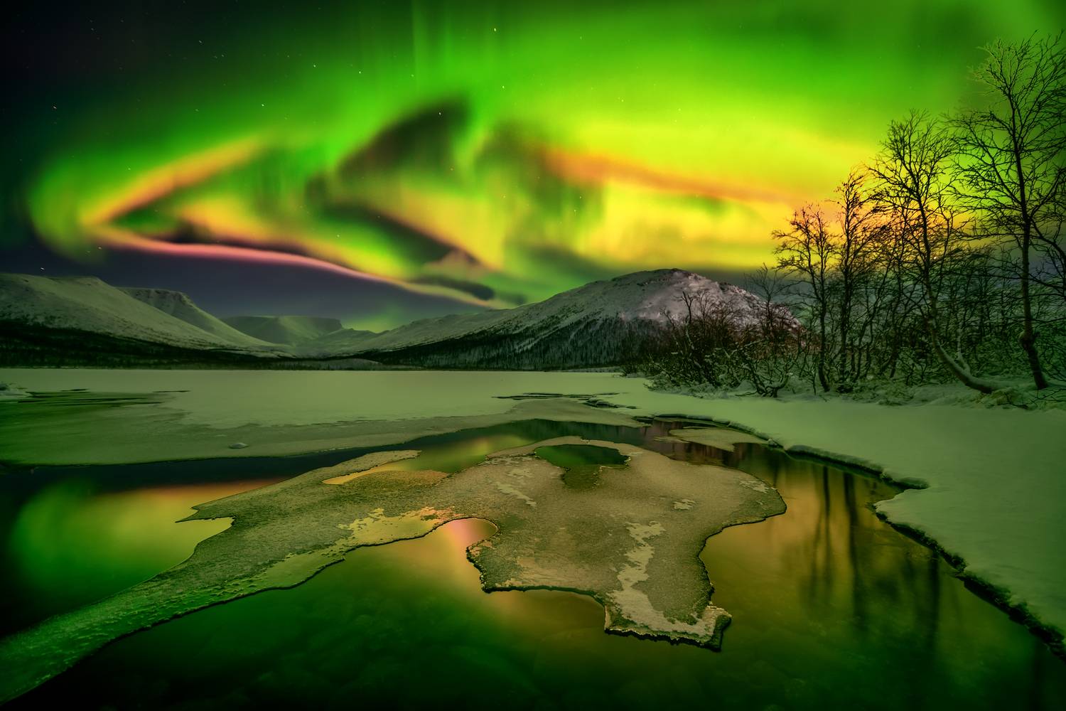 Кольский, Евдокимов Максим