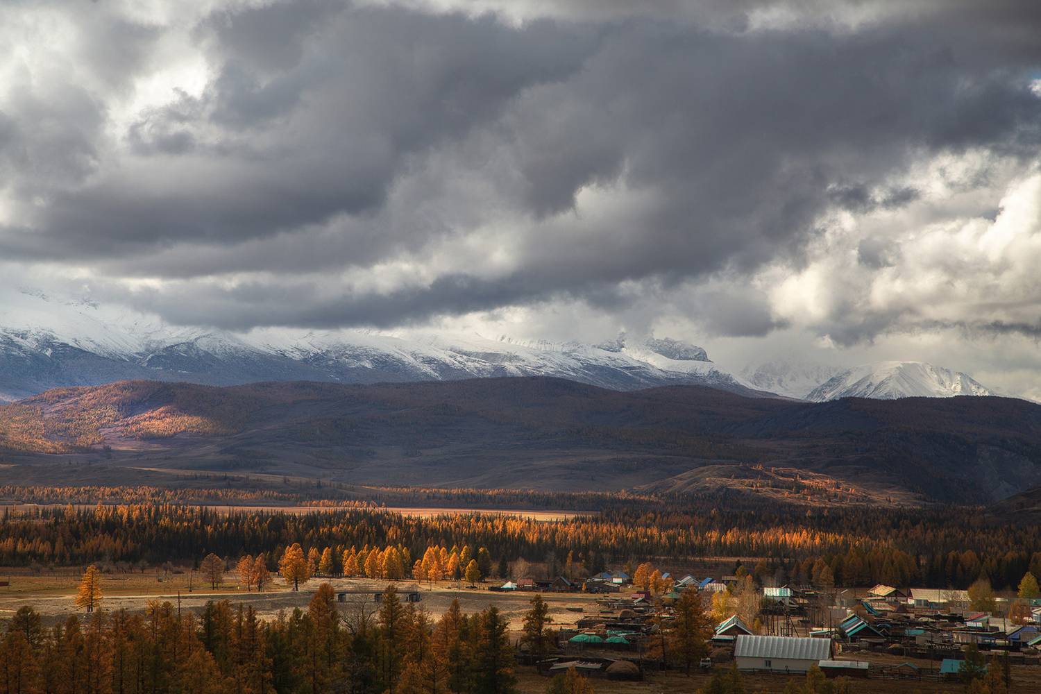 , Евгений Зинов