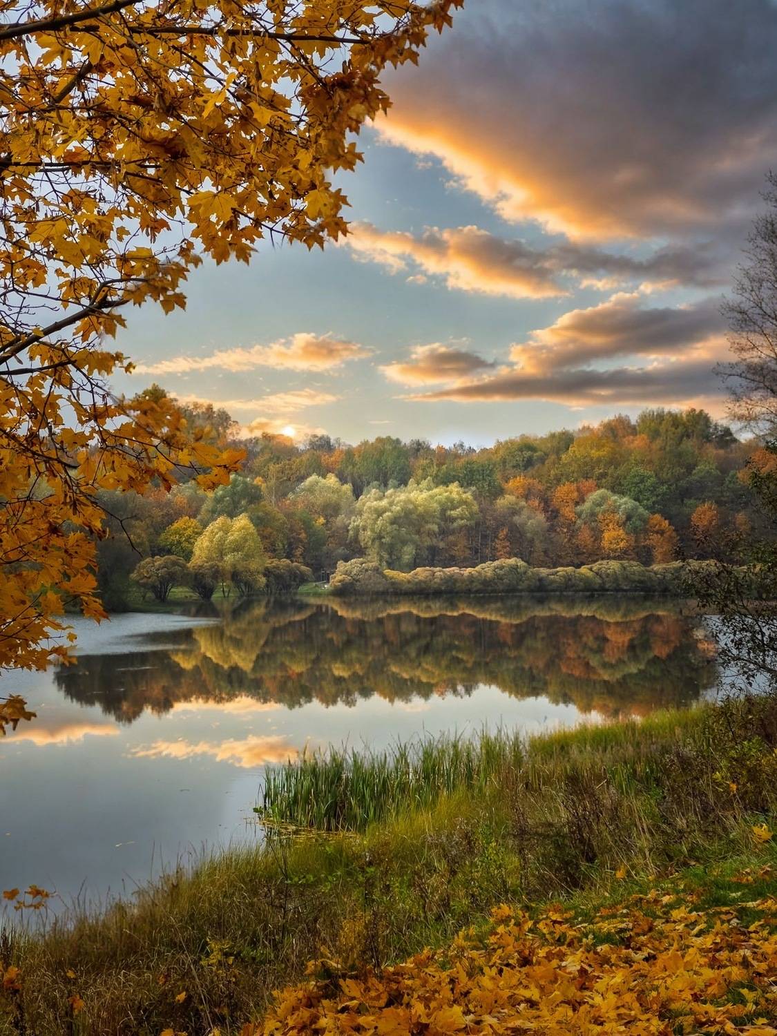 пейзаж, landscape, nature, природа, осень, autumn, золотаяосень, goldatum, закат, sunset, пруд, Julia Kaissa