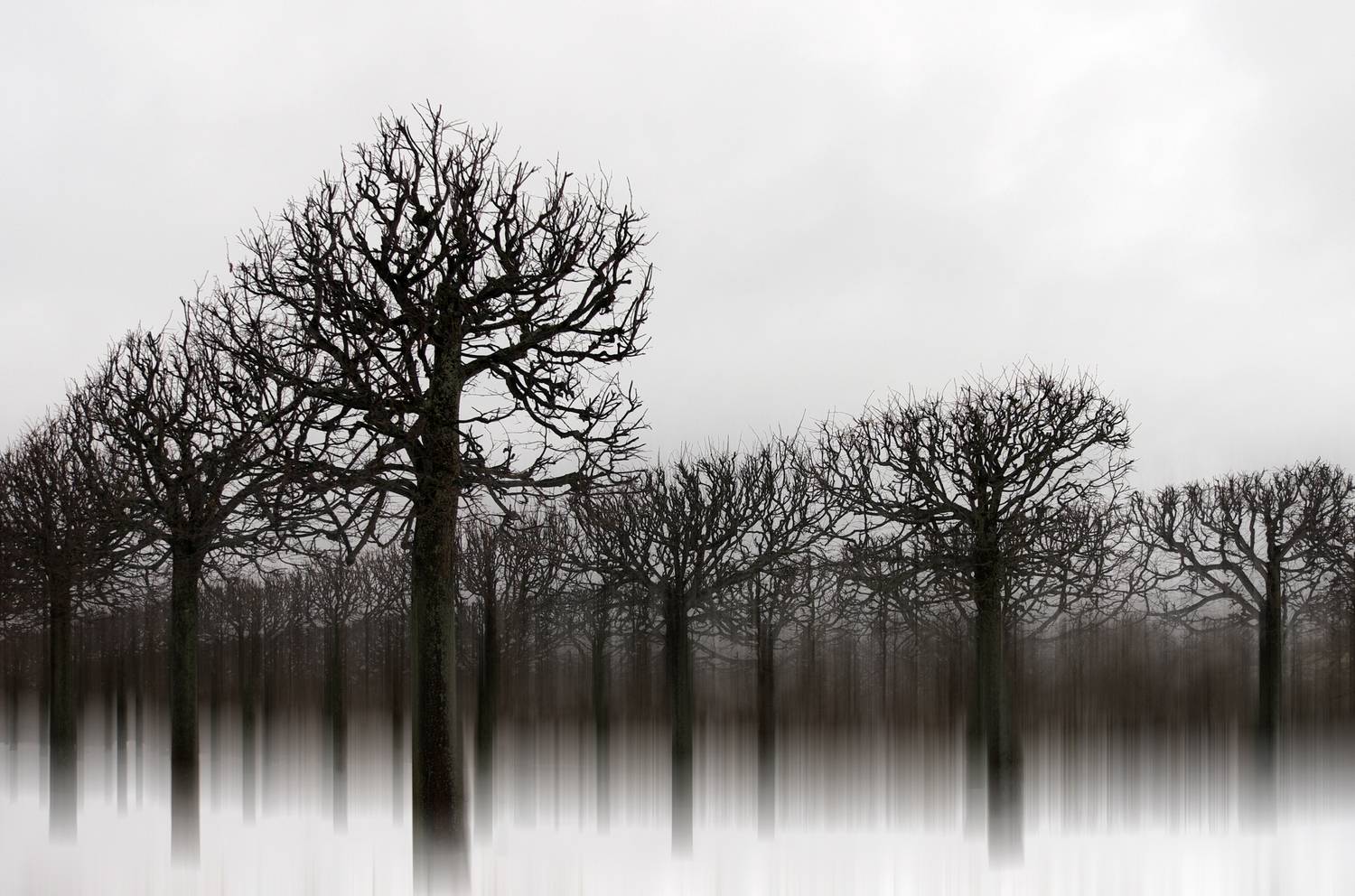 петергоф, парк, Аркадий Мотовилов