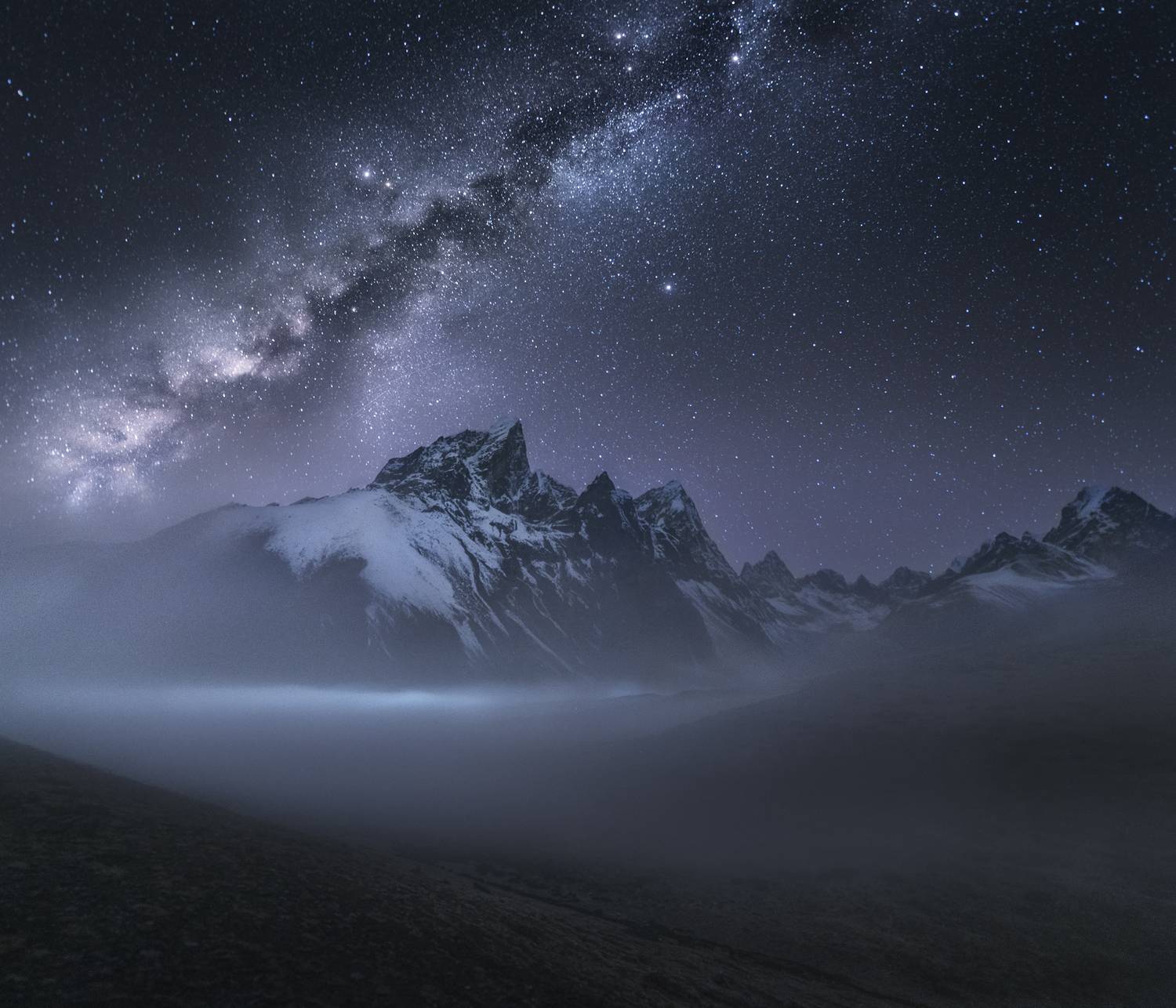 , Политова Анна