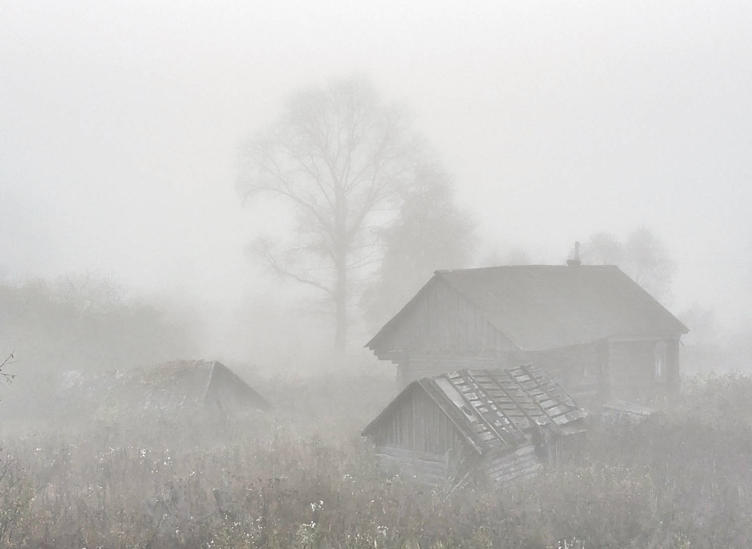 , Tатьяна Дин