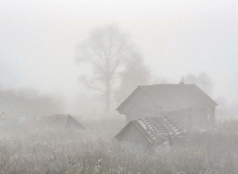 Туманом окутаны фото превью