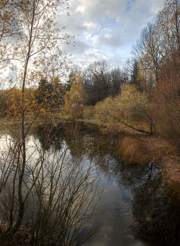 *** фото превью