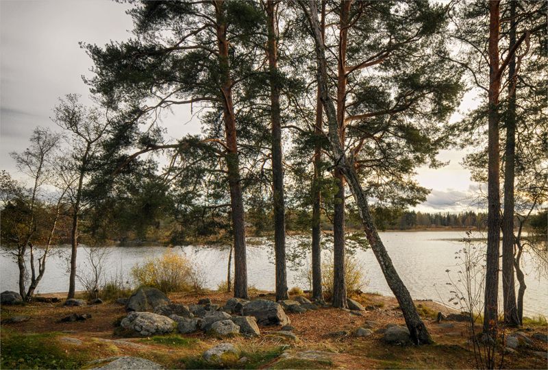 У озера фото превью