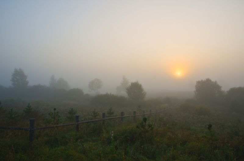 Туман, утро, рассвет, пушкинские, горы Утро раннее и туманное. фото превью