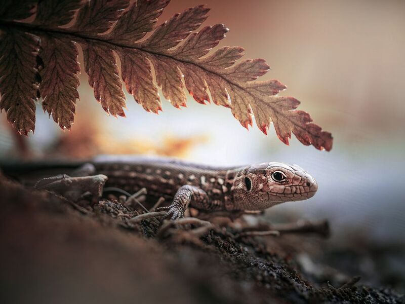 Мир большой, а ты маленький... фото превью