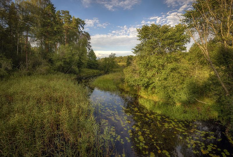 *** фото превью