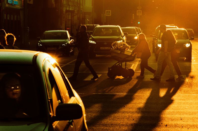 Цветы фото превью