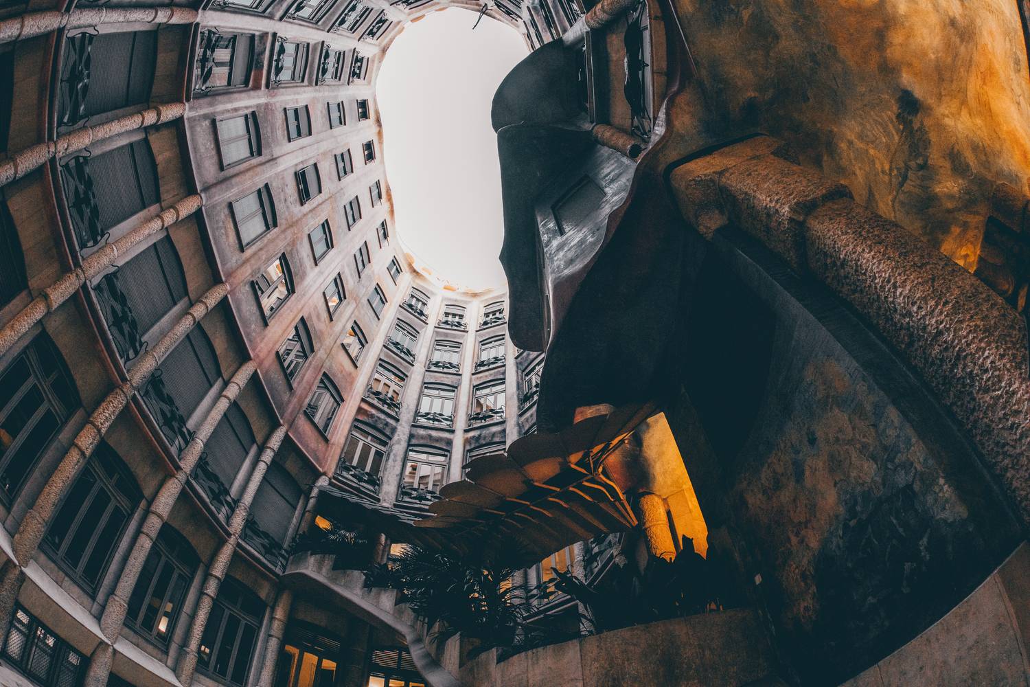 , Трепольский Дмитрий