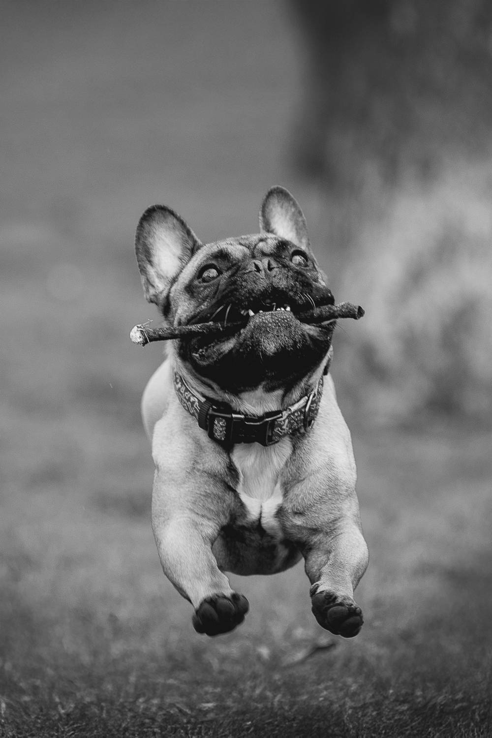 , Елена Самусенкова