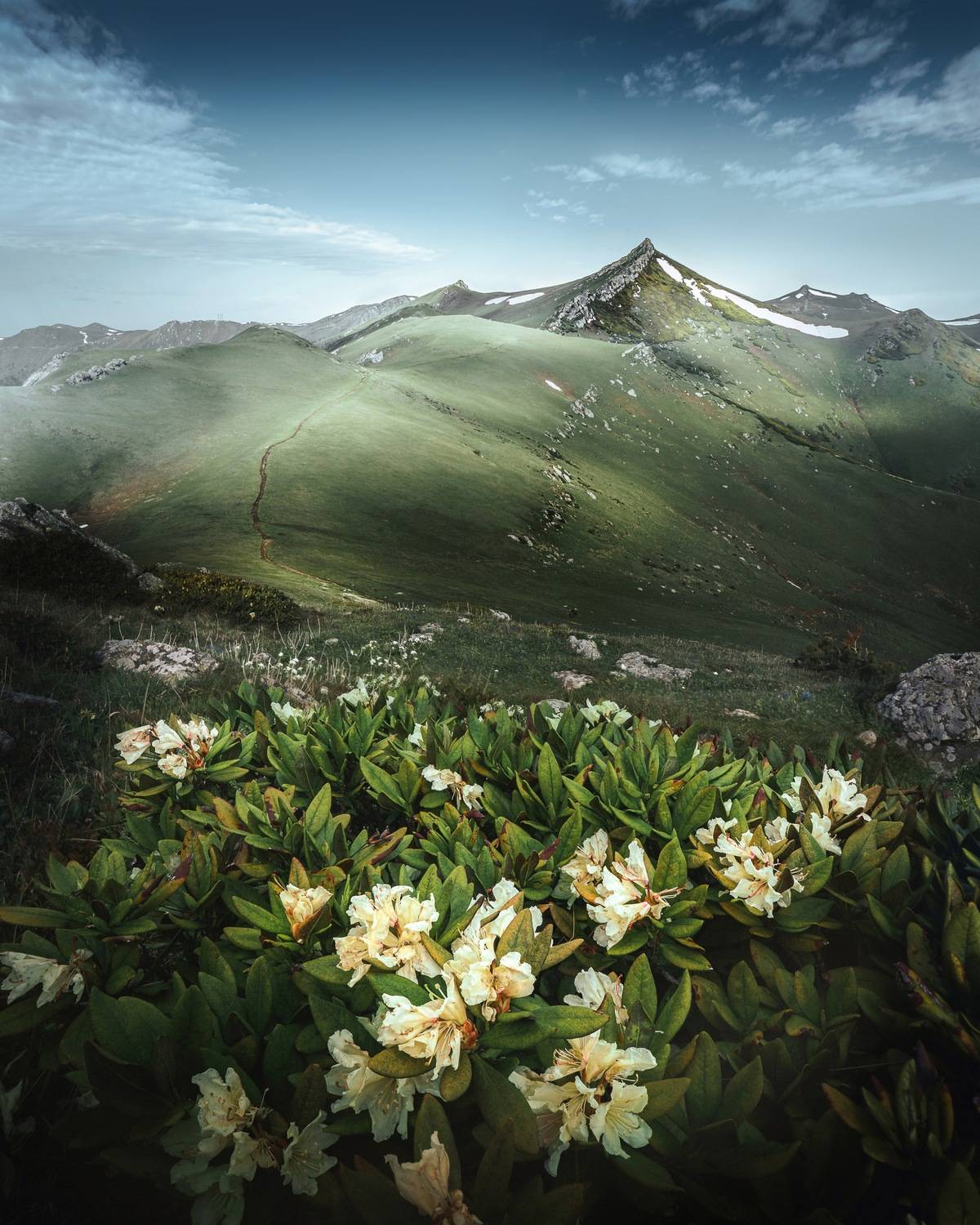 , Купчиков Илья