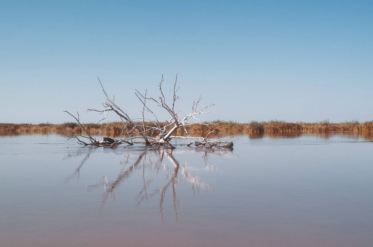волга, россия, астраханская область, , Павел Сторчилов