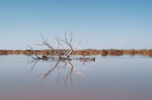 Дельта Волги