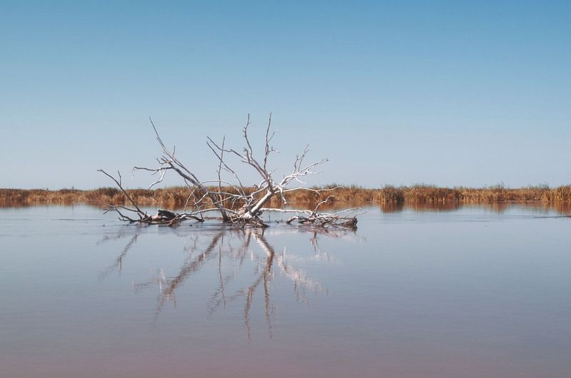 волга, россия, астраханская область,  Дельта Волги фото превью