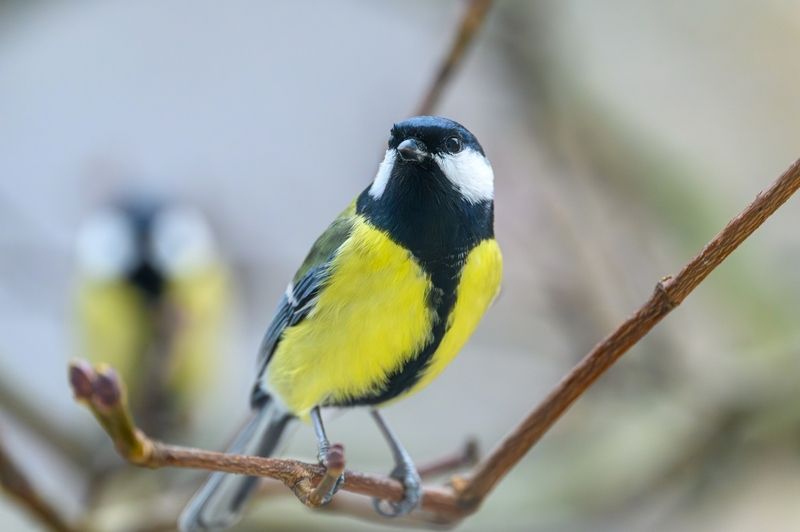 Ребята с нашего двора фото превью