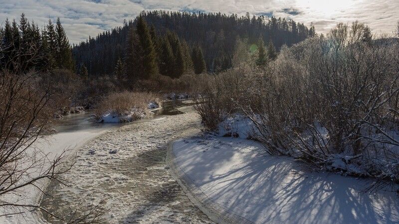 базаиха ноябрь ** * фото превью