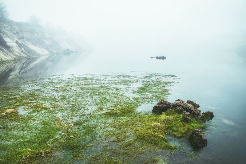 Туман фото превью
