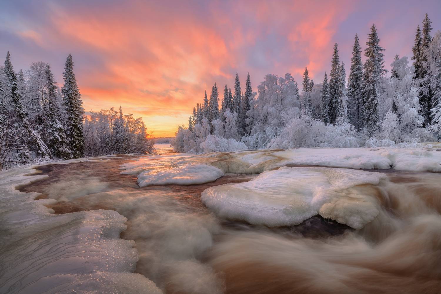 , Евдокимов Максим