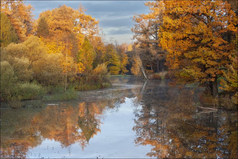 Пушкинская осень фото превью