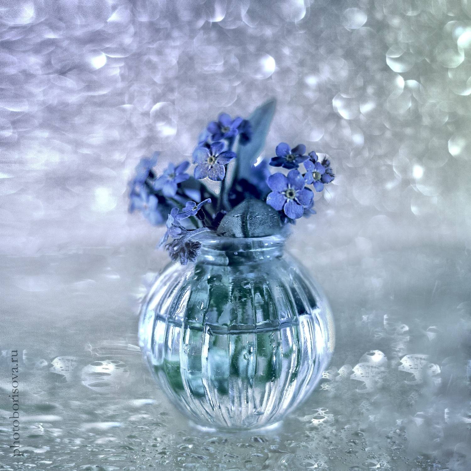 , Юлия Борисова