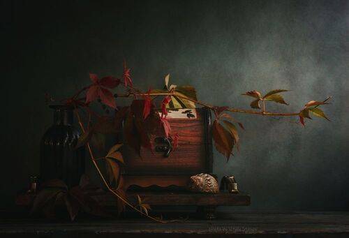 В тенях старой веранды..