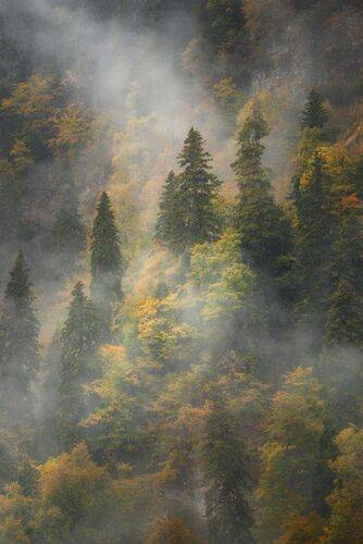 За пеленой дождя